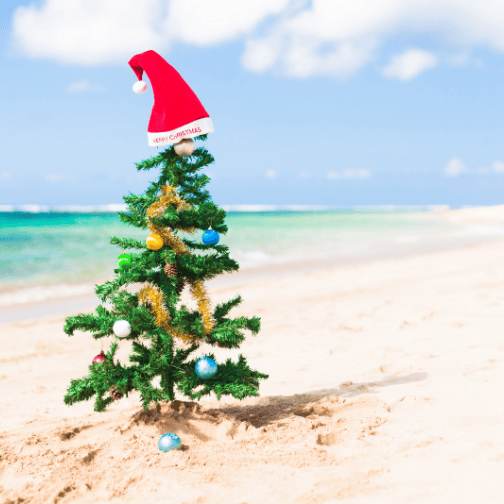 2026 Christmas in the Park and Parade Event